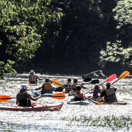 Capital Connector photo of kayakers